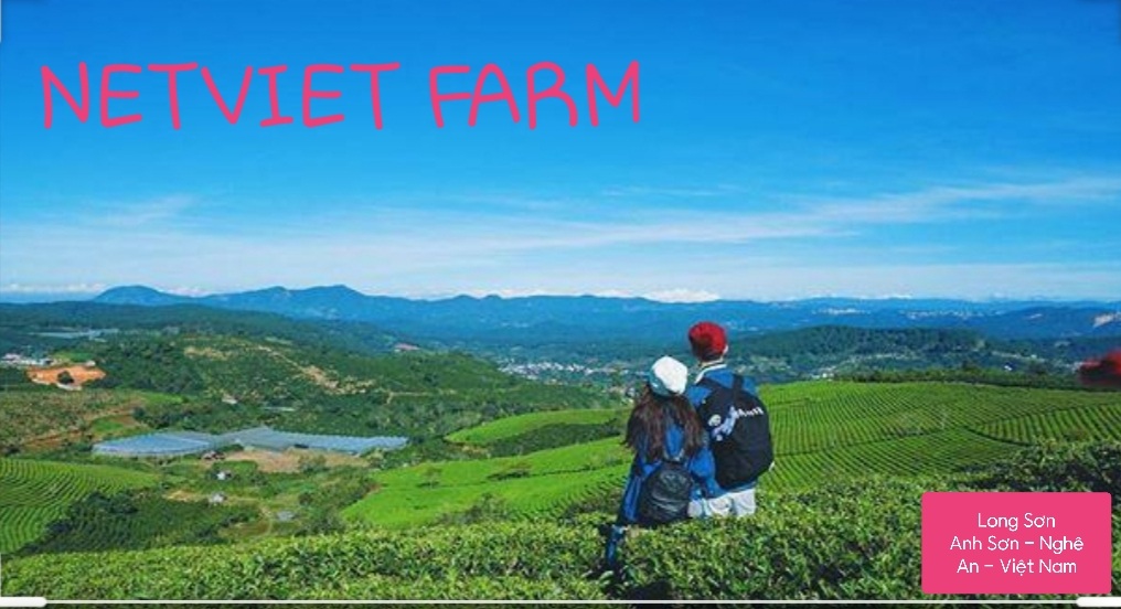 NETVIET FARM - Một hướng đầu tư điểm đến du lịch hấp dẫn của NETVIET GROUP.